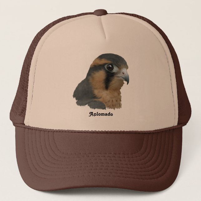 Gorra De Camionero Aplomado (Anverso)