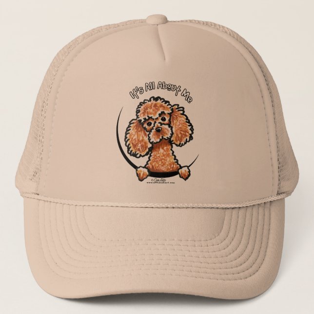 Gorra De Camionero Apricot Toy Miniatura Poodle IAAM (Anverso)