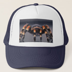 Gorra De Camionero Araña asustadiza del Tarantula