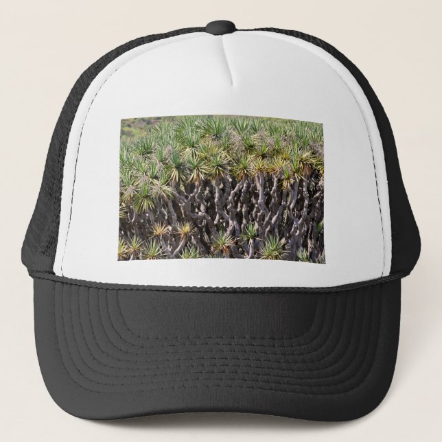 Gorra De Camionero Árbol de dragón en Tenerife (Anverso)