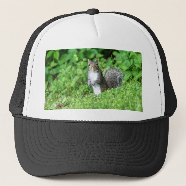 Gorra De Camionero Ardilla (Anverso)