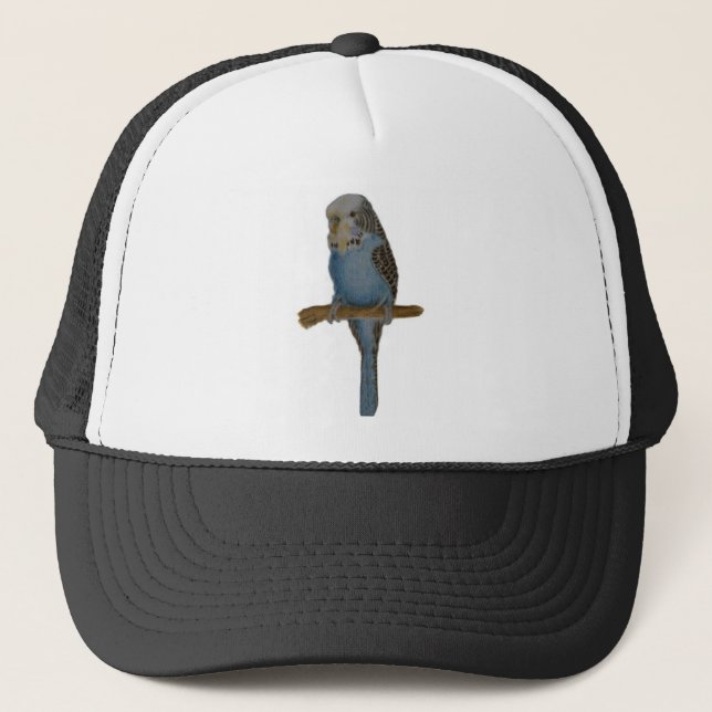 Gorra De Camionero Arte azul de Budgie (Anverso)