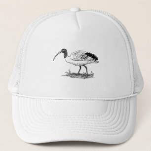 Gorra De Camionero Arte del pájaro de Ibis