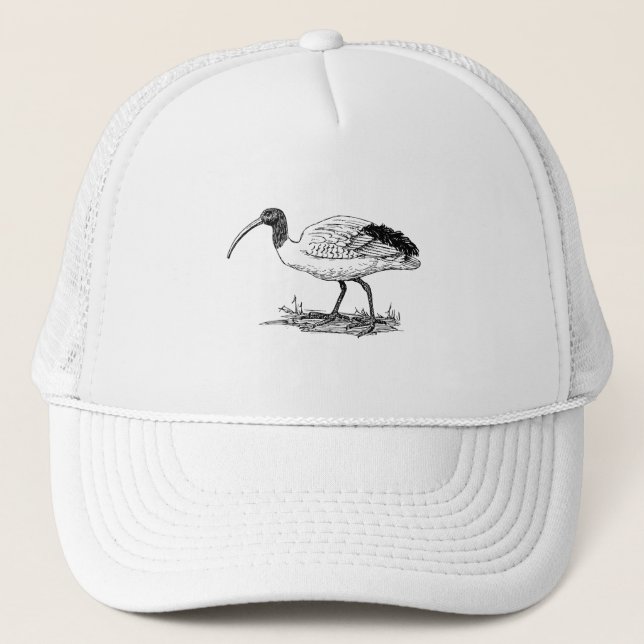 Gorra De Camionero Arte del pájaro de Ibis (Anverso)