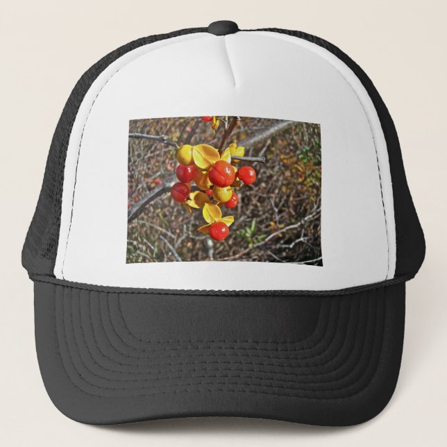 Gorra De Camionero Artículos de Bitterdulce Vine Berries (Anverso)
