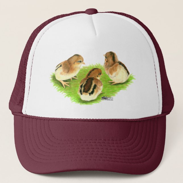 Gorra De Camionero Aseel Black Red Chicks (Anverso)