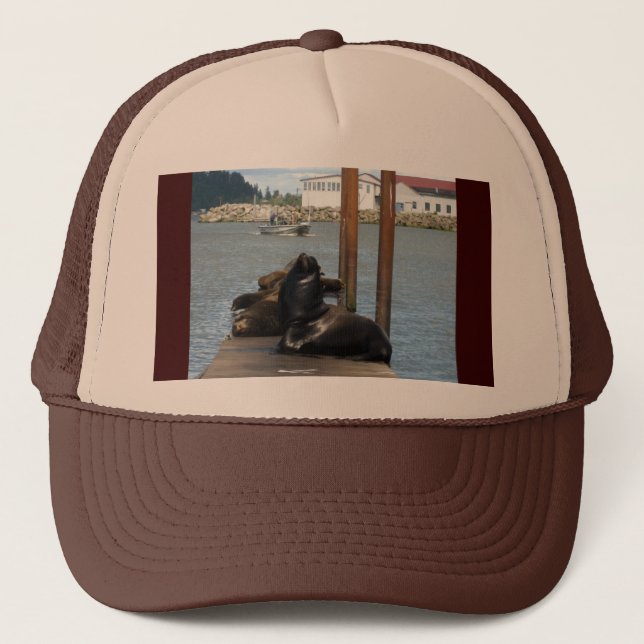 Gorra De Camionero Astoria Oregon Sealions (Anverso)