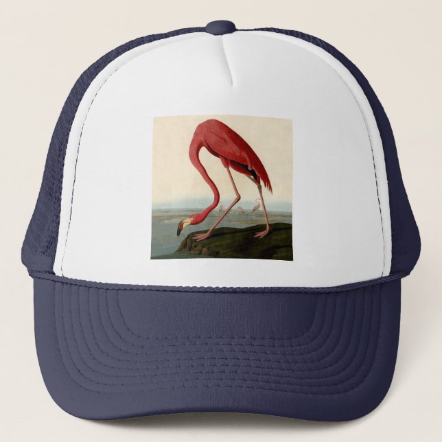 Gorra De Camionero Audubon American Flamingo (Anverso)