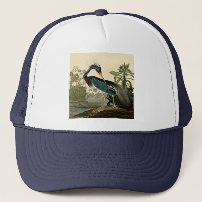 Gorra De Camionero Audubon Louisiana Heron Birds America Art (Anverso)