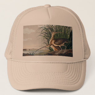 Gorra De Camionero Ave Audubon