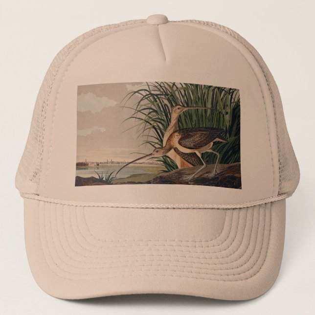 Gorra De Camionero Ave Audubon (Anverso)
