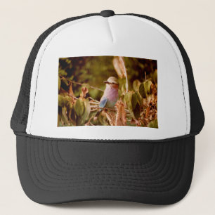 Gorra De Camionero Aviario