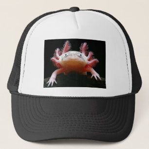 Gorra De Camionero Axolotl Axolotl.png