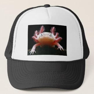 Gorra De Camionero Axolotl Axolotl.png