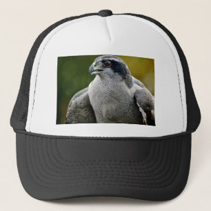Gorra De Camionero Azor septentrional