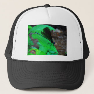 Gorra De Camionero Azul de Damselfly sobre una hoja verde.