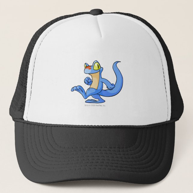 Gorra De Camionero Azul de Techo (Anverso)