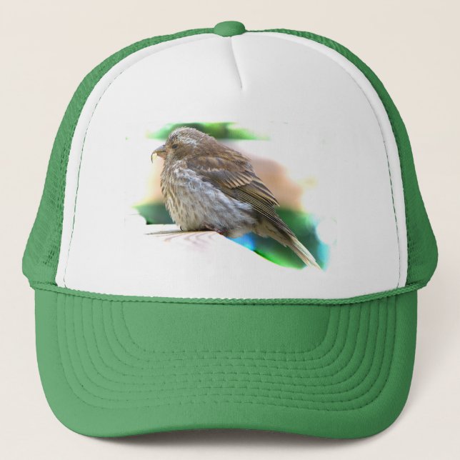 Gorra De Camionero Baby Finch (Anverso)