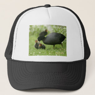 Gorra De Camionero Baby Moorhens