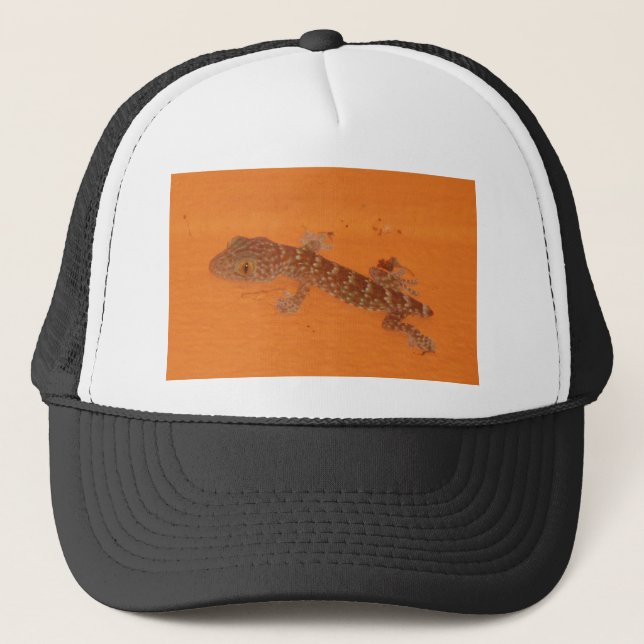Gorra De Camionero Baby Tokay Gecko (Anverso)