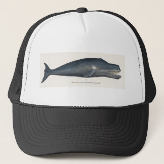 Gorra De Camionero Ballena Bowhead