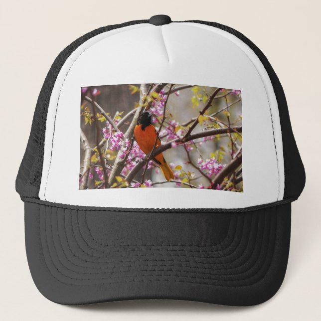Gorra De Camionero Baltimore Oriole (Anverso)