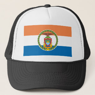 Gorra De Camionero Bandera de la ciudad de Bronx