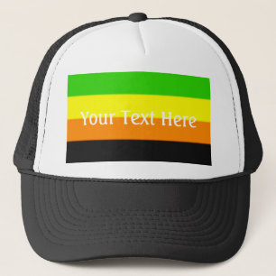 Gorra De Camionero Bandera del Orgullo Aromántico de las Malvinas