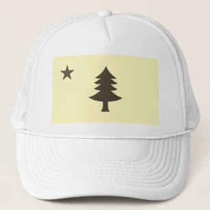 Gorra De Camionero Bandera histórica de Maine (1901-1909)
