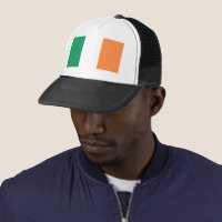 Bandera Nacional de Irlanda, Estandarte irlandés, 