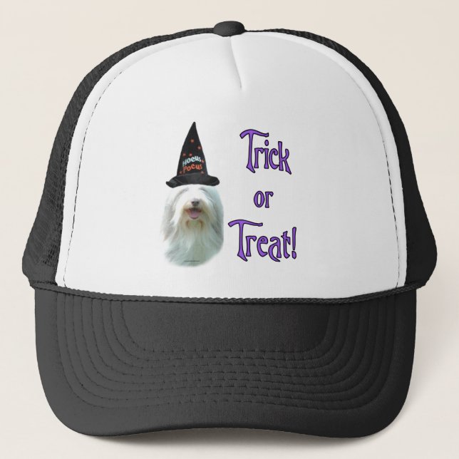 Gorra De Camionero Bearded Collie Trick (Anverso)