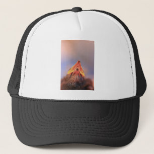 Gorra De Camionero Bebé 2