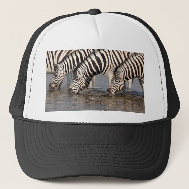 Gorra De Camionero Bebida de Cebras (Anverso)