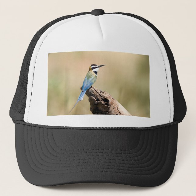 Gorra De Camionero Bee-eater (Anverso)