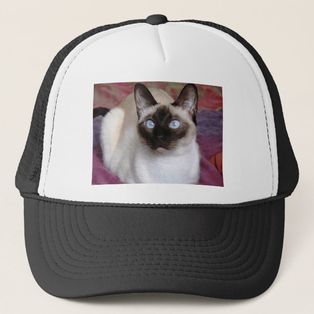 GORRA DE CAMIONERO BELLEZA SIAMESA (Anverso)
