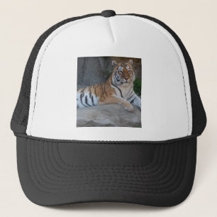 Gorra De Camionero Bengal Tigers