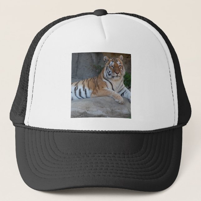 Gorra De Camionero Bengal Tigers (Anverso)