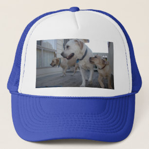 Gorra De Camionero Besos de cachorro: Amor familiar de Labrador color