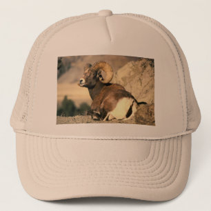 Gorra De Camionero Bighorn Ram