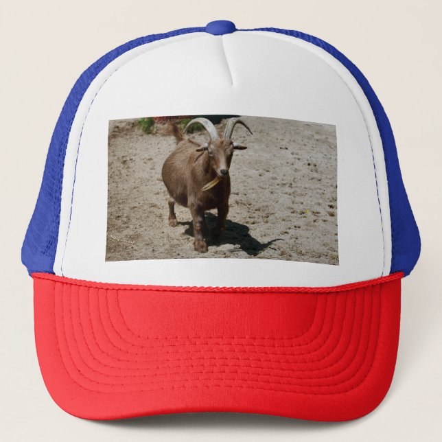 Gorra De Camionero Bill (Anverso)