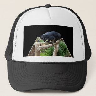 Gorra De Camionero Binturong de pie sobre una barandilla de madera,