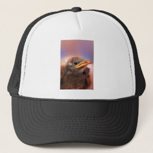 Gorra De Camionero Bird