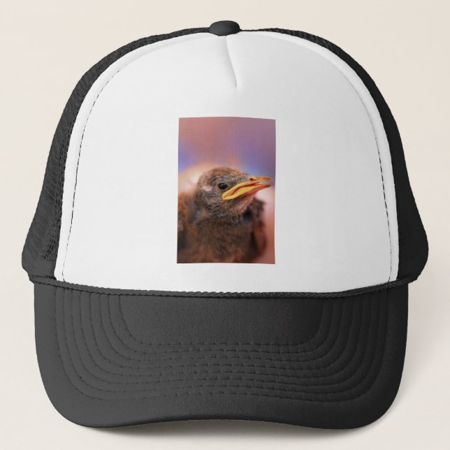 Gorra De Camionero Bird (Anverso)
