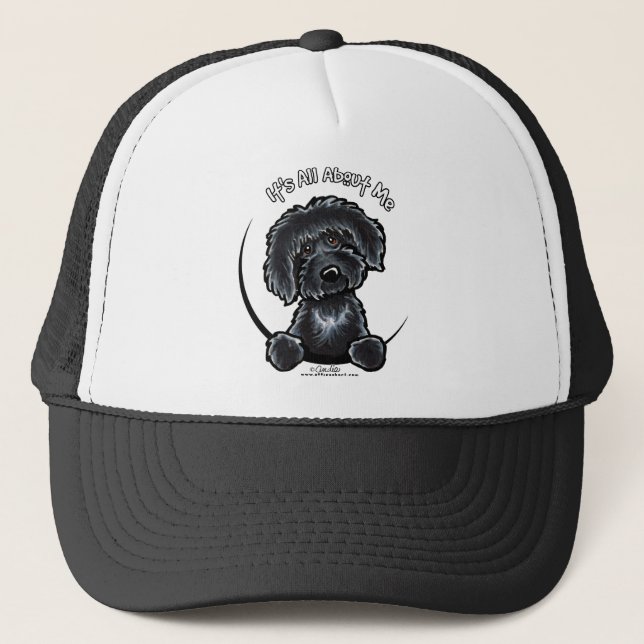Gorra De Camionero Black Labradodle IAAM (Anverso)