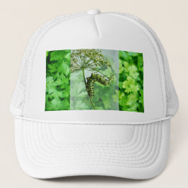 Gorra De Camionero Black Swallowtail Caterpillar Comer Parsley