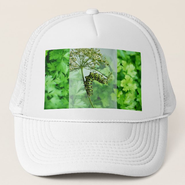 Gorra De Camionero Black Swallowtail Caterpillar Comer Parsley (Anverso)