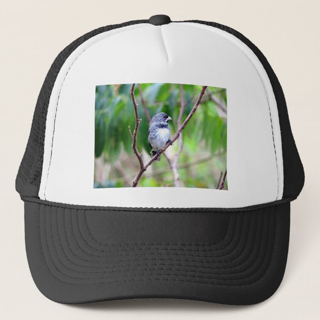 Gorra De Camionero Blue Bird (Anverso)