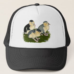 Gorra De Camionero Blue Magpie Ducklings