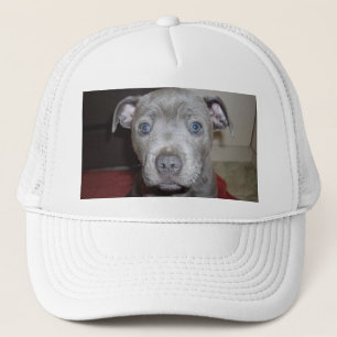 Gorra De Camionero Blue Staffordshire Bull Terrier Puppy,