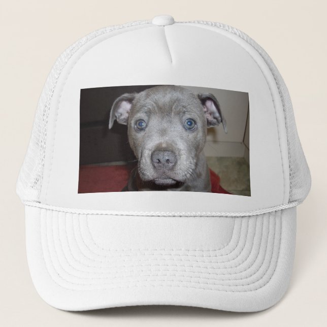 Gorra De Camionero Blue Staffordshire Bull Terrier Puppy, (Anverso)